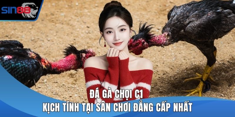 Đá gà chọi c1